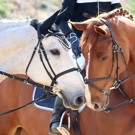 Szálloda Frigopan Plovdiv