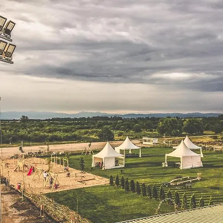 Frigopan 플로브디프